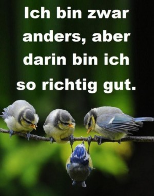 Anders sein