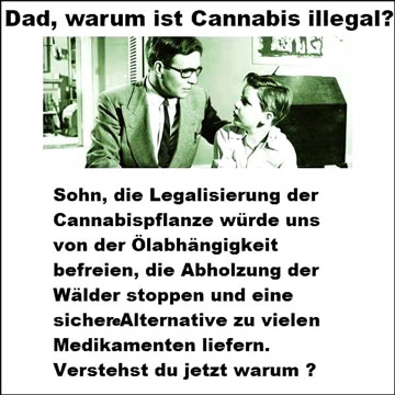 Warum ist Cannabis illegal?