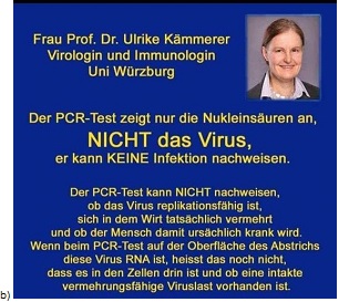 Was der PCR-Test kann - und was nicht