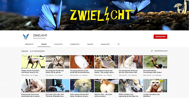YT-Screenshot "Zwielicht" Kanal