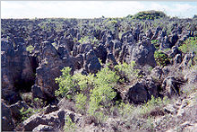 Mondlandschaft auf Nauru