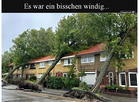 Wenn Bume sich verlieben