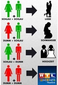 Kombinationen dummen & schlau