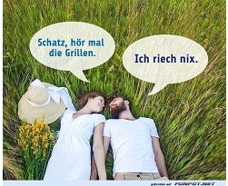 Grillen, doppeldeutig