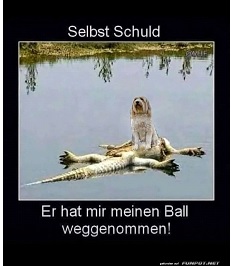 Hund und Krokodil