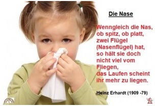 Nasen-Gedicht von Heinz Erhart