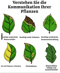 Verstehe die Kommunikation deiner Pflanzen