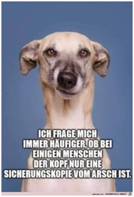 Sicherungskopie Kopf - Arsch